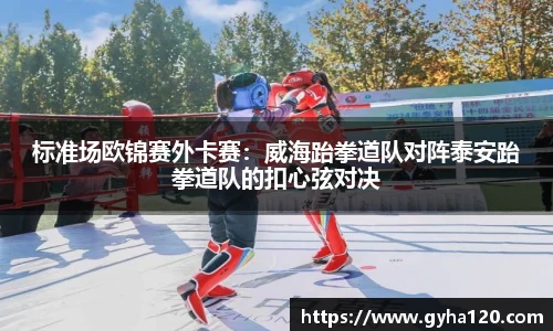 标准场欧锦赛外卡赛：威海跆拳道队对阵泰安跆拳道队的扣心弦对决