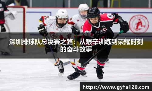深圳排球队总决赛之路：从艰辛训练到荣耀时刻的奋斗故事